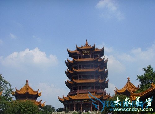 ��Ѫѹ�����������Ӧ��ע���6������(6)