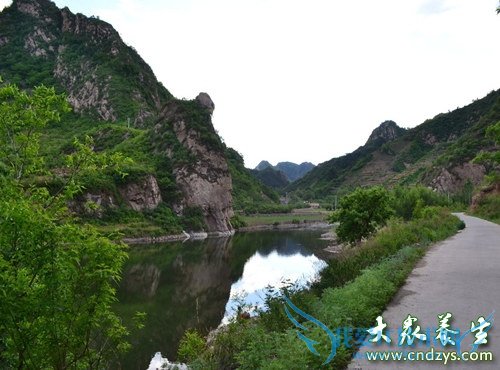 ��Ѫѹ�����������Ӧ��ע���6������(1)