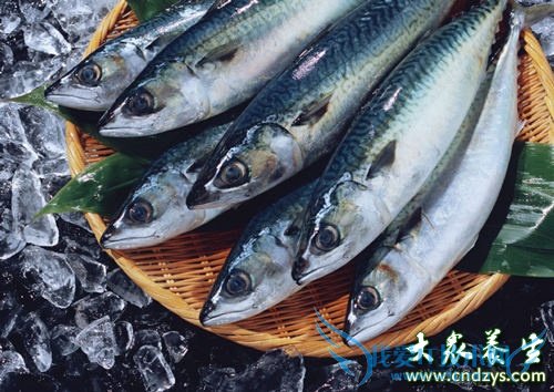 �и��ܳ�������