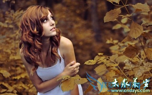 ��֢�����š� ��֢����Σ����(2)