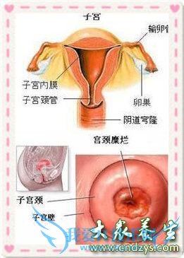 �������õ�Ԥ������������Ӧע������ԭ��(1)