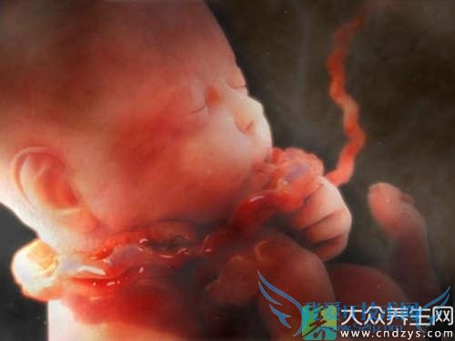 ����ƾ�������ô��