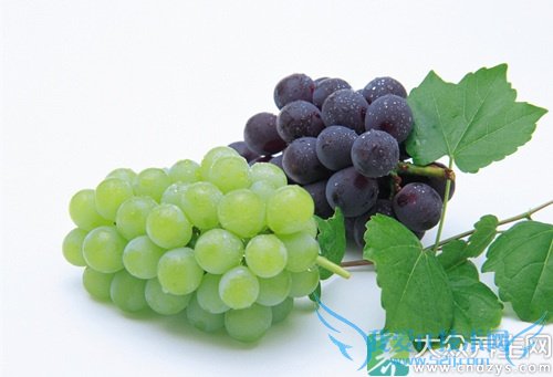 ��Ѫѹ�ܳ�������