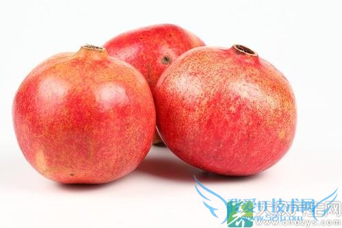 Ƥ�������ܳ�ʯ����