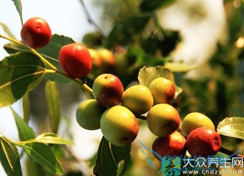 �и��ܳ�������