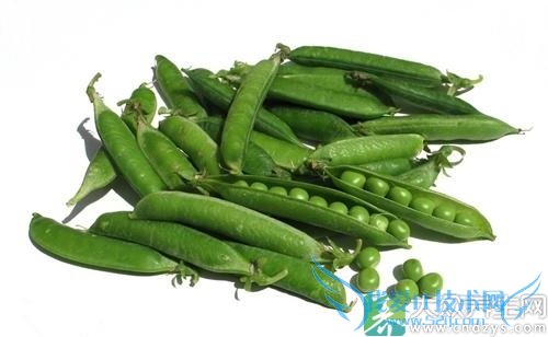 �����ܳ��㶹��