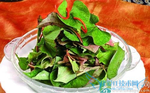 ��ð���Գ����Ȳ���