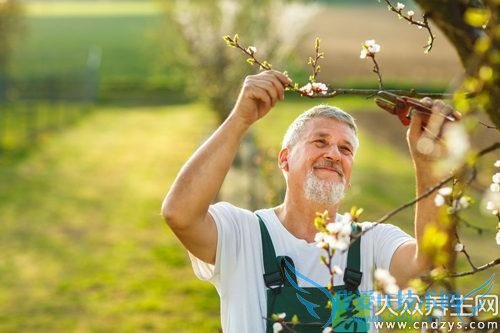 ���˺Ȳ�������(1)