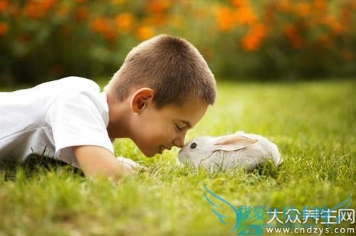 ���������������ӵ�3������(1)