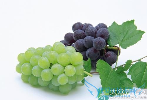 Ƥ�������ܳ�������