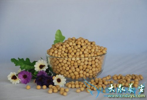 �����鷿�����޵�ʳ��(1)