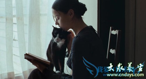 ����Ů�����ջ����˵�9����Ϊ (1)