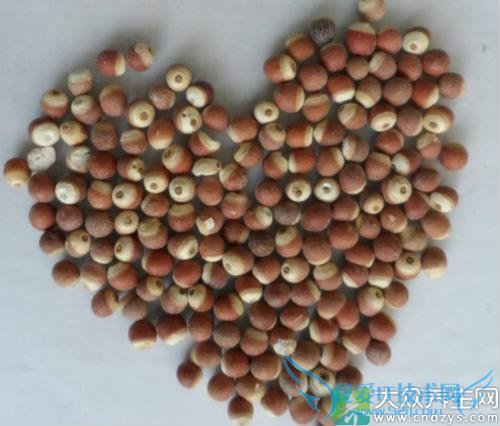 �и��ܳ���ʵ����