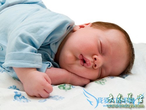 ������ʪ����ô��