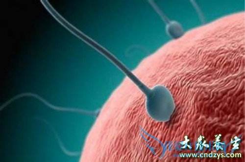 �����ķ�����