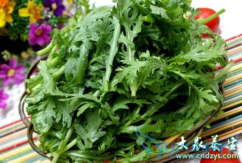 ���Գ��ڳ���ʳ�ɵ�����������(2)