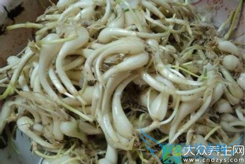 ��Ѫѹ�ܳ�ޯͷ��