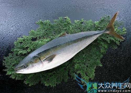 �����ܳԽ�����