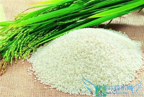 �����ӿ��Գ�Ŵ����