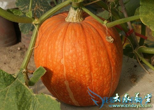 Ů��4ʱ�����Ѫ���(6)