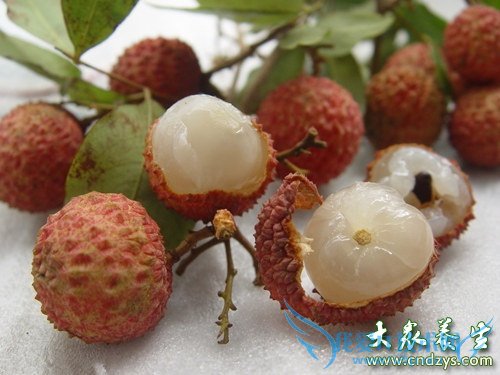 8��ʳ��������׳���ֳ־�(1)