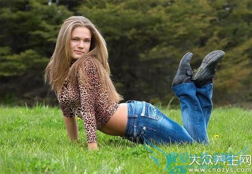 ����֧���������Ԥ����