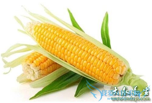 ��ͯ�������������������� 