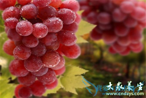 ����ˮ����Ů��Խ��Խ����(1)