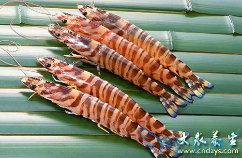 �и��ܳԺ�Ϻ��