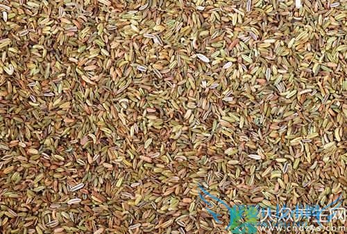 Ƥ�������ܳ���������