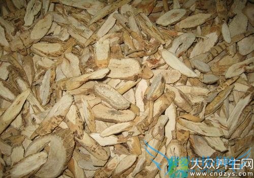 �����ܳ�ţ������