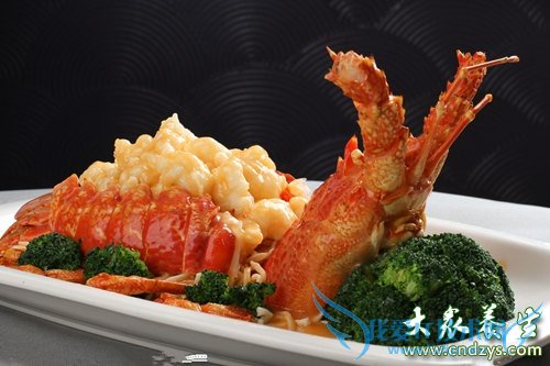 ������ǰ��ŭ!����8�ֹؼ�Ӫ��(2)