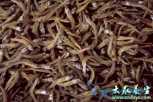 ������ǰ��ŭ!����8�ֹؼ�Ӫ��(1)