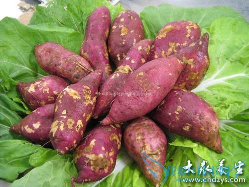 ������ǰ��ŭ!����8�ֹؼ�Ӫ��(4)