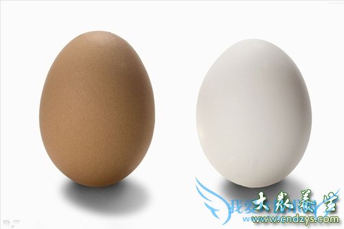 ������ǰ��ŭ!����8�ֹؼ�Ӫ��(5)