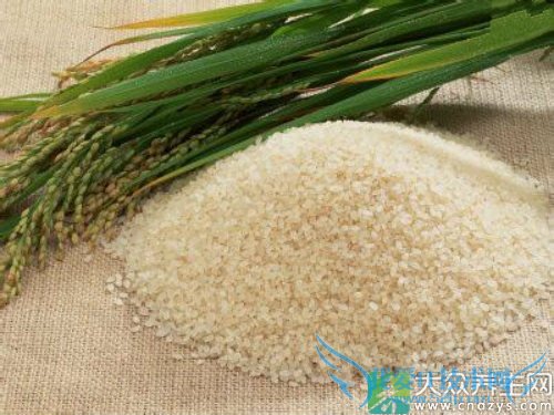 �����ܳԴ�����