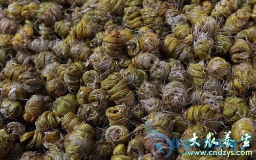 �����ܳ���Ƥʯ���� 