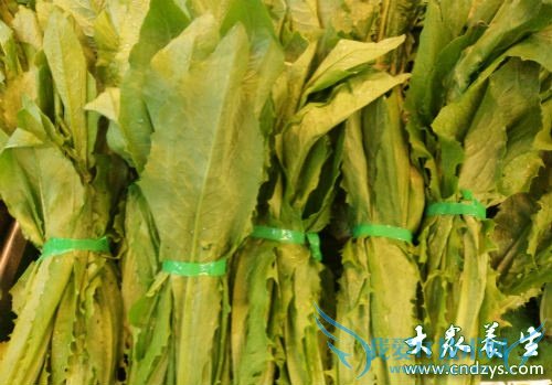 �и����Գ�ݫ��Ҷ��