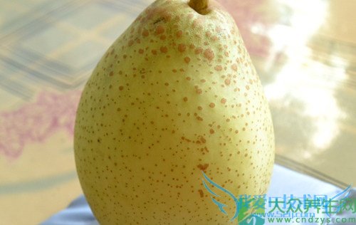 �����ܳ�ѩ������  