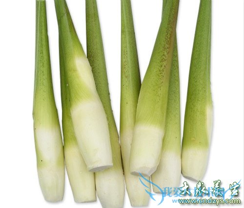 ������ʲô������