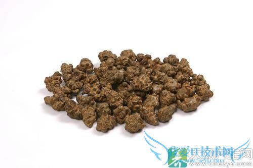 Ƥ�������ܳ�������