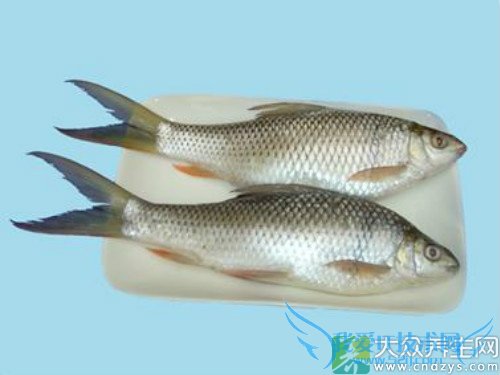 �����ܳ�������