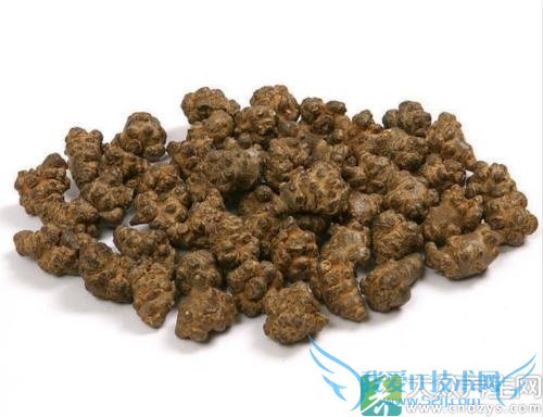 ��Ѫѹ�ܳ�������