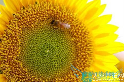 �����ܳԻ�����