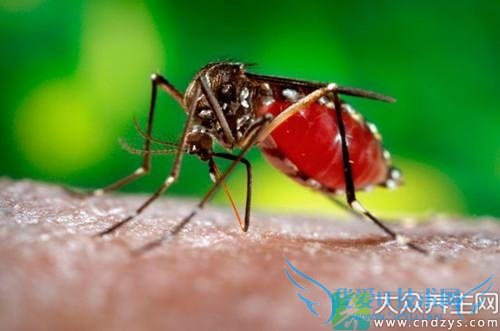 ���ܼ�������ë �������ջ�5��������(3)