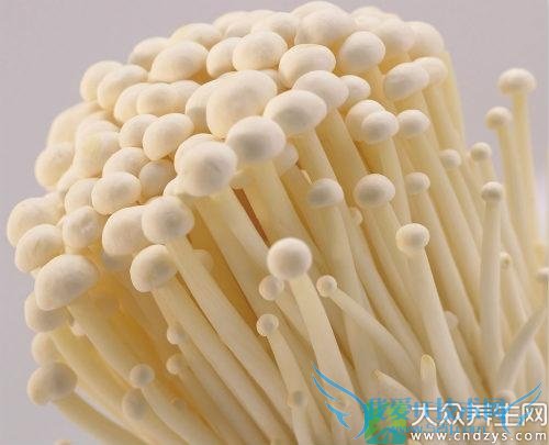 Ƥ�������ܳԽ��빽��