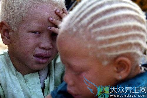 С���׻�����Ԥ��