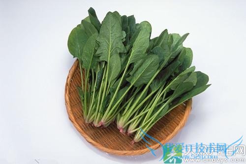 Խ��Խ����ļ���ʳ��(10)