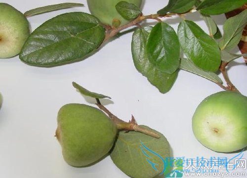 �����ܳ�����������  