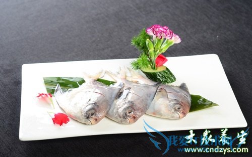 ��Ѫѹ�ܳ�������